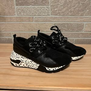 Steve Madden Cliff Low Top Sneakers Size 6 Women’s New without tags and box